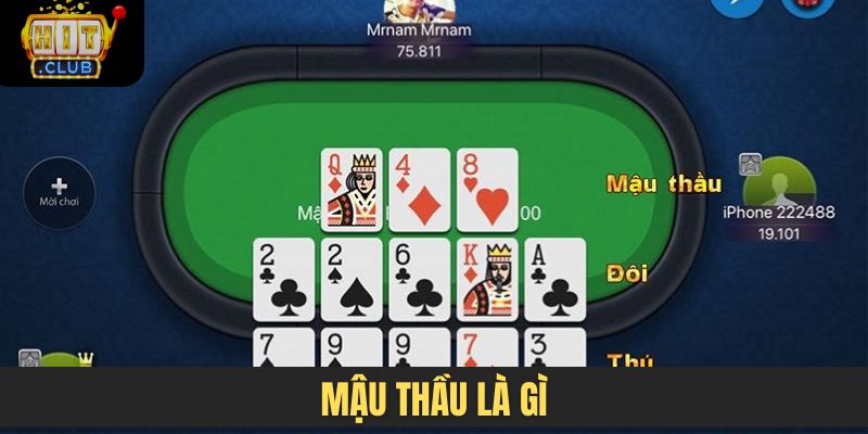 Mậu Thầu là gì